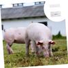 Gatuida Veterinary Pregnancy Test Strips Simple Use 5pcs Material with Fast and Accurate Results for Pigs and Livestock for Breeding Management and Livestock Farm Use view 4