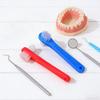 Alipis Denture Toothbrush Double-Headed 2Pcs with Blue and Red Handles Small Size for Adult Oral Care and Retainer Cleaning view 4