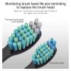 3-10 Pcs Replacement Brush Heads,Compatibility for Fairywill Toothbrush Head Refill Tooth Clean(3 pcs White) view 3