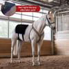 3 in 1 Diode Red Light Therapy for Horses, Red Light Therapy Mat for Horses, 3 in 1 Adjustable Diode Therapy for Equine Back Recovery, 660nm/850nm, Effective Treatment for Muscle Relief and Healing view 4