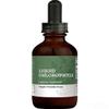 Iodine Liquid Complex With Chlorophyll For Daily Wellness Support view 1