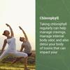 Iodine Liquid Complex With Chlorophyll For Daily Wellness Support view 2