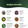 Helps Maintain a Healthy Liver and Promotes Digestion view 4