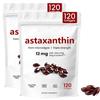 Astaxanthin Softgels, Triple Strength Astaxanthin 12mg, Premium Astaxanthin Supplements 120 Softgels, Health & Energy Support for Skin, Eyes, and Joint(2Box) view 1