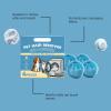 4PCS Pet Hair Remover for Laundry,Pet Hair Remover & Reusable Laundry Balls,Dog Hair Remover & Cat Hair Remover for Clothes,Pet Hair Catcher and Dissolver for Clothes,Washing Machine Hair Catcher view 4