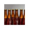 Coopers Ginger Beer Concentrate 0.5kg Brew Up to 10L of Refreshing Homemade Ginger Beer Vegan Friendly Homebrew Kit view 4