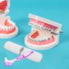 CLISPEED Denture Toothbrush Storage Box Portable Travel Toothbrush Holder Case Travel Dental Kit Cover for Oral Care for Outdoor Trips and Daily Use view 4