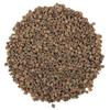 Ajmod - Apium Graveolens - Celery Seeds 200 Grams view 2