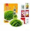 MAFUSE Bursting Sea Grapes Green Caviar Crispy, Juicy Seaweed Snack Rich in Vitamins Ideal for Sushi & Salads |3-Pack Set Includes Assorted Dipping Sauces view 1