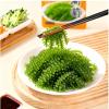MAFUSE Bursting Sea Grapes Green Caviar Crispy, Juicy Seaweed Snack Rich in Vitamins Ideal for Sushi & Salads |3-Pack Set Includes Assorted Dipping Sauces view 2