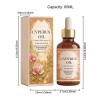 Facial Hair Inhibitor, Natural Body Care Solution, Soothing Feature with Fast Absorption, Professional Grade Beauty Tool, Removal Oil with Compact Style, Solution for Women and Men view 2