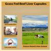 Grass Fed Beef Liver Capsules - Provides Energy - Fat Free view 2