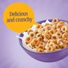 Toasted Multigrain Cereal Hoops (800g, Pack of 2) - Total 1.6kg Mega Bulk Bundle - High Fibre Breakfast Rings Made with Oats, Wheat & Barley view 2