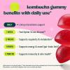 Kombucha Gummy - Probiotics for Women and MenPrebiotics, PostbioticsDigestive & Gut Health SupportDaily Balance, Bloating ComfortVegan, Non-GMO view 3