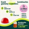 Kombucha Gummy - Probiotics for Women and MenPrebiotics, PostbioticsDigestive & Gut Health SupportDaily Balance, Bloating ComfortVegan, Non-GMO view 4