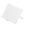 SWETRACE 100pcs Plant Fibre Moisture Absorbing Slices High-efficiency Food Desiccant for Biscuits and Food Containers, White Drying Sheets for Chip Cans and Kitchen Storage view 2