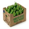 Fresh Green Bell Pepper, Premium Quality, 4.5 kg Box view 1