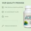 Organic Irish Sea Moss, Raw Wildcrafted Sea moss, Non-GMO, Gluten-Free, Vegan, for Overall Health & Daily Support view 2