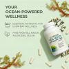 Organic Irish Sea Moss, Raw Wildcrafted Sea moss, Non-GMO, Gluten-Free, Vegan, for Overall Health & Daily Support view 4