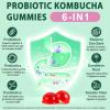 Probiotic Kombucha Gummy with Prebiotics, Probiotics & Postbiotics | Digestive Health & Gut Support Supplement | for Men & Women | Berry Bliss Flavor- 60 Gummies view 3