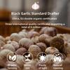 SntCrave Fermented Black Garlic 56g | Whole Garlic Cloves, 90-Day Aged, No Additives | Ready to Eat, Sweet & Jelly-Like | Vegan, Gluten-Free,Healthy Snack view 3