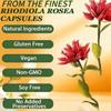 Rhodiola rosea: Relieve Physical and Mental Fatigue.Enhance Attention and Concentration, Help You Stay Active and Motivated,Enhance Immunity. view 4