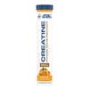 Applied Nutrition Creatine Effervescent Tablets Creatine Monohydrate with Flavour - Increases High-Intensity Physical Performance - 16 Effervescent Tablets - Tropical
