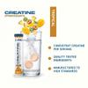 Applied Nutrition Creatine Effervescent Tablets Creatine Monohydrate with Flavour - Increases High-Intensity Physical Performance - 16 Effervescent Tablets - Tropical view 4