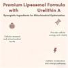 Liposomal Urolithin A,Boosts energy levels view 4