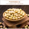 Soybean Powder, Soybean Milk Powder, Instant Nutritious Beverage, Instant Tofu Flower, Chinese Instant Cereal, Healthy and Nutritious Breakfast, Dessert Dim Sum (Coconut juice tofu pudding,256g) view 4