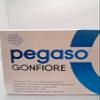 Pegasus Swelling - Food Supplement of Live Lactic Ferments, Prebiotics and Chamomile - 10 Single Dose Vials 10ml view 2