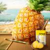 MAFUSE Natural Dried Pineapple Rings Premium Tropical Fruit Snack. Sweet & Crispy Tropical Fruit Chips. Soft, Chewy, and Healthy Office Snack (106g). view 2