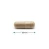 Cytoplan Zinc Citrate (30mg Zinc) Capsules 60 Supports Cognitive Health Boosts Energy Metabolism Immune System Support view 3