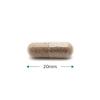 Cytoplan Organic Milk Thistle Capsules 60 Optimal Absorption British Developed Scientifically Formulated High Bioavailability view 3