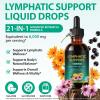 Lymph System Support Supplement, 6000mg Lymphatic Support Drops 21 in 1 Lymphoria Lymphatic Drainage Drops Herbal Liquid Supplement with Botanical Extracts for Lymph Clean (60ml (Pack of 2)) view 2