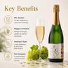 Sababa | Non Alchoholic Sparkling French Wine | 0% ALC 750ml view 3