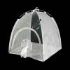QUXVUIS Clear View Caterpillar Habitat Enclosure Ensures Safety Childrens Learning and Fun Does Not Rock Or Move Large Monarch Butterfly Habitat Cage Collapsible view 4