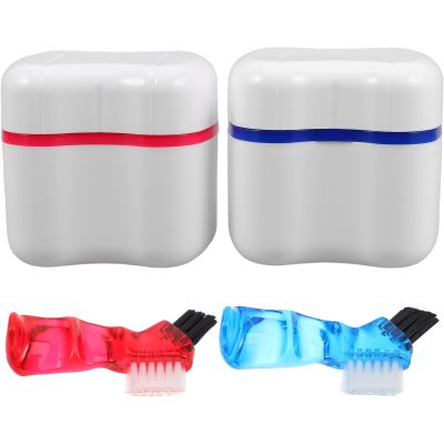 Artibetter Denture Brush and Storage Box Set Elegant European Style 2pcs with Pp and Nylon Material Comprehensive Oral Care for Dentures, for Travel and Home Use