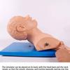Intubation Trainer Manikin, Airway Management Model, Oral Nasal Teaching Aid, Adult Intubation Practice Kit for Medical Training view 2
