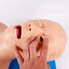 Intubation Trainer Manikin, Airway Management Model, Oral Nasal Teaching Aid, Adult Intubation Practice Kit for Medical Training view 3