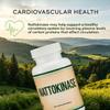 Nattokinase optimizes the status of the circulatory system, maintains overall cardiovascular function, and makes blood flow smoother, non-GMO, vegetarian view 2
