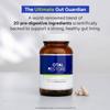 Gut recovery support - Promotes digestive comfort view 3