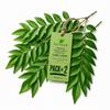 SUJASH Fresh Curry Leaves 40g Aromatic Ingredient for Daily Cooking 2 Pack view 1