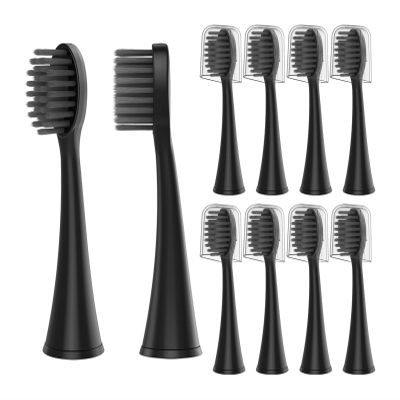 10pcs Replacement Toothbrush Heads,Compatible for BurstAdult Electric Toothbrush for Seago S9 S1 S6 S8 S21 S26 S28 SG540 SG860(Black 10pcs)