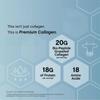 Collagen | Support Hair, Skin, And Nails | Superior Absorption | Grassfed Protein view 2