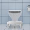 CRAFTHROU Toilet Stool UK with Multi-Functional Design and Non-Slip Pad, Sleek Pp Bathroom Step Stool for Adults, Minimalist Home Footstool for Comfortable Squatting and Toilet Assistance view 4