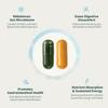 Probiotics + Greens supports digestion, detoxification, energy and immune health - Vegan view 3