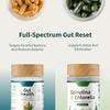 Probiotics + Greens supports digestion, detoxification, energy and immune health - Vegan view 4
