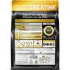 PROELITE Creatine Monohydrate Powder 500g Unflavoured - 100 Servings | Micronised Creatine for Muscle Strength, Performance & Recovery | Vegan Friendly Pre & Post Workout Supplement view 2