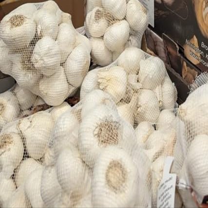 Fresh White Garlic Large Bulb, 1 kg, Natural Spice for Cooking, Planting, and Growing, Vegan and Vegetarian Suitable